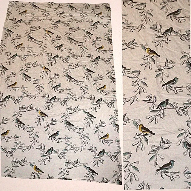 DwellStudio for Target Bird Print Cotton Flat Queen Sheet White Blue Nature Boho