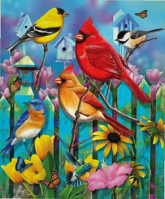 New Flower Songbirds Cardinal Plush Throw Blanket Birdwatch Birder Twitcher Gift
