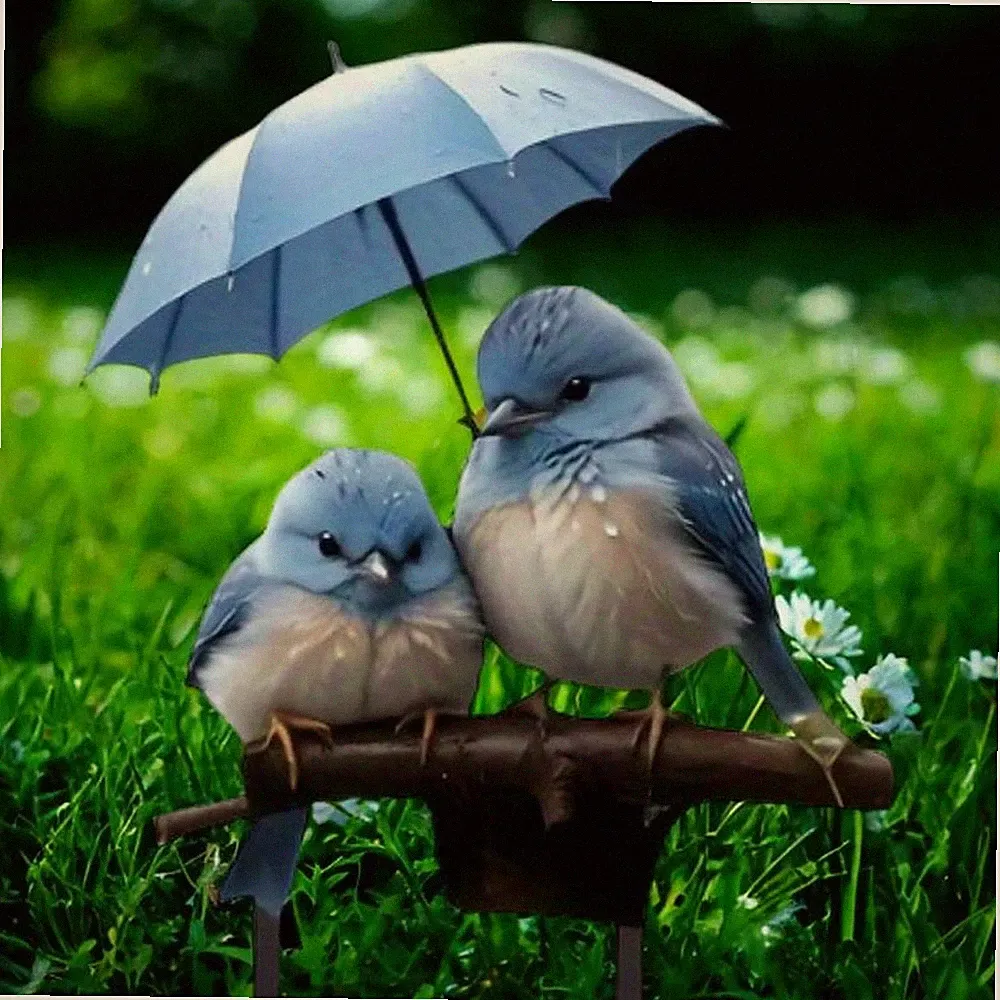 Outdoor Blue Bird on Umbrella Garden Stake - Colorful Flower Bed Accent