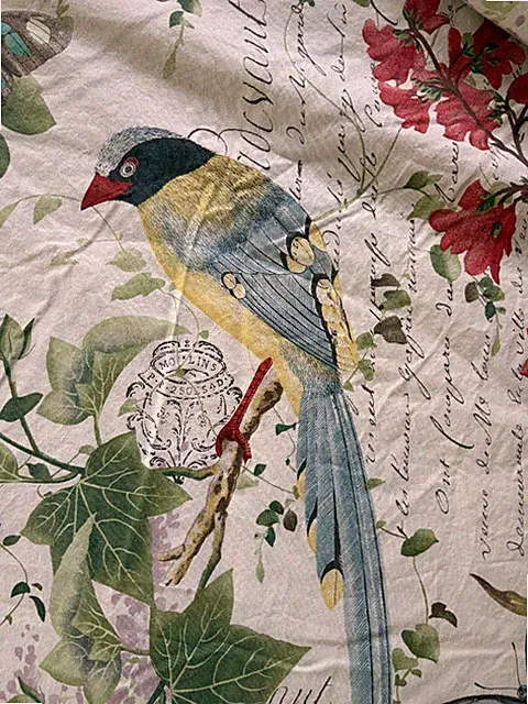 Pottery Barn KING DUVET Spring Fauna Botanical Bird Butterfly Script + 2 Shams