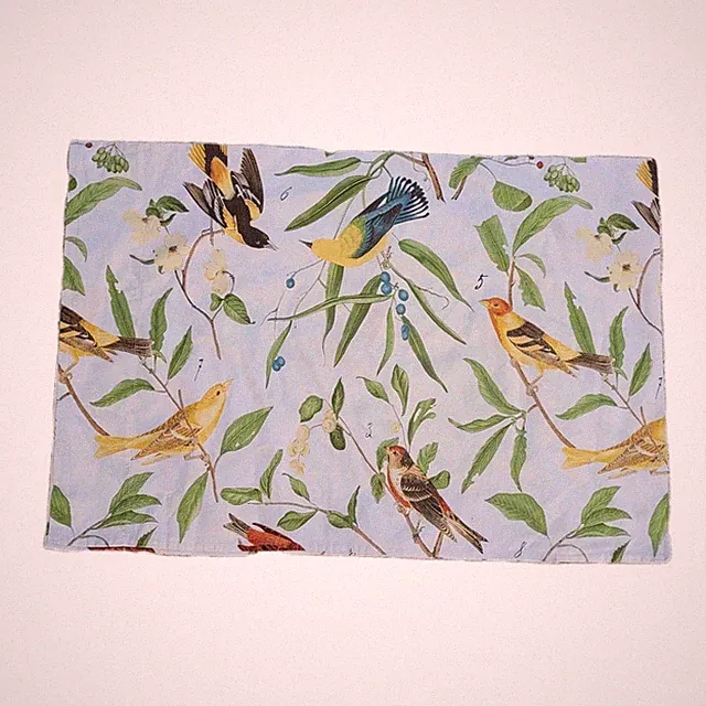 Pottery Barn Spring Sparrow Birds Standard Pillow Case Cotton 30x20 Nature