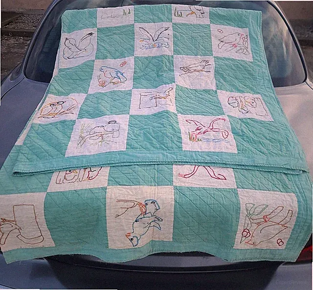 VINTAGE 50 STATE BIRD QUILT HAND DONE